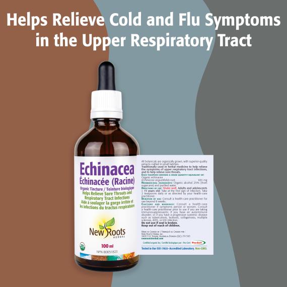 Echinacea