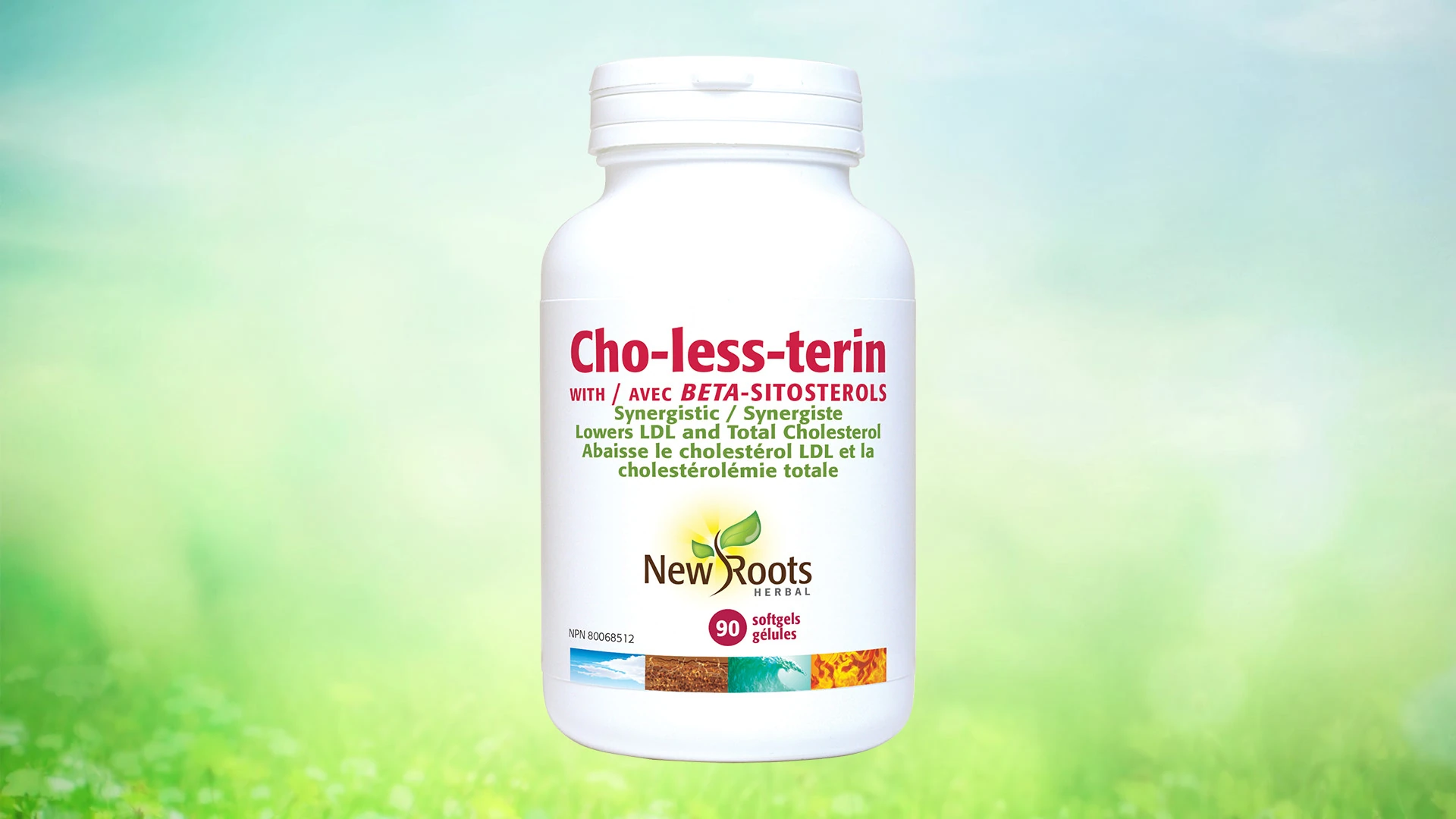 Cho-less-terin