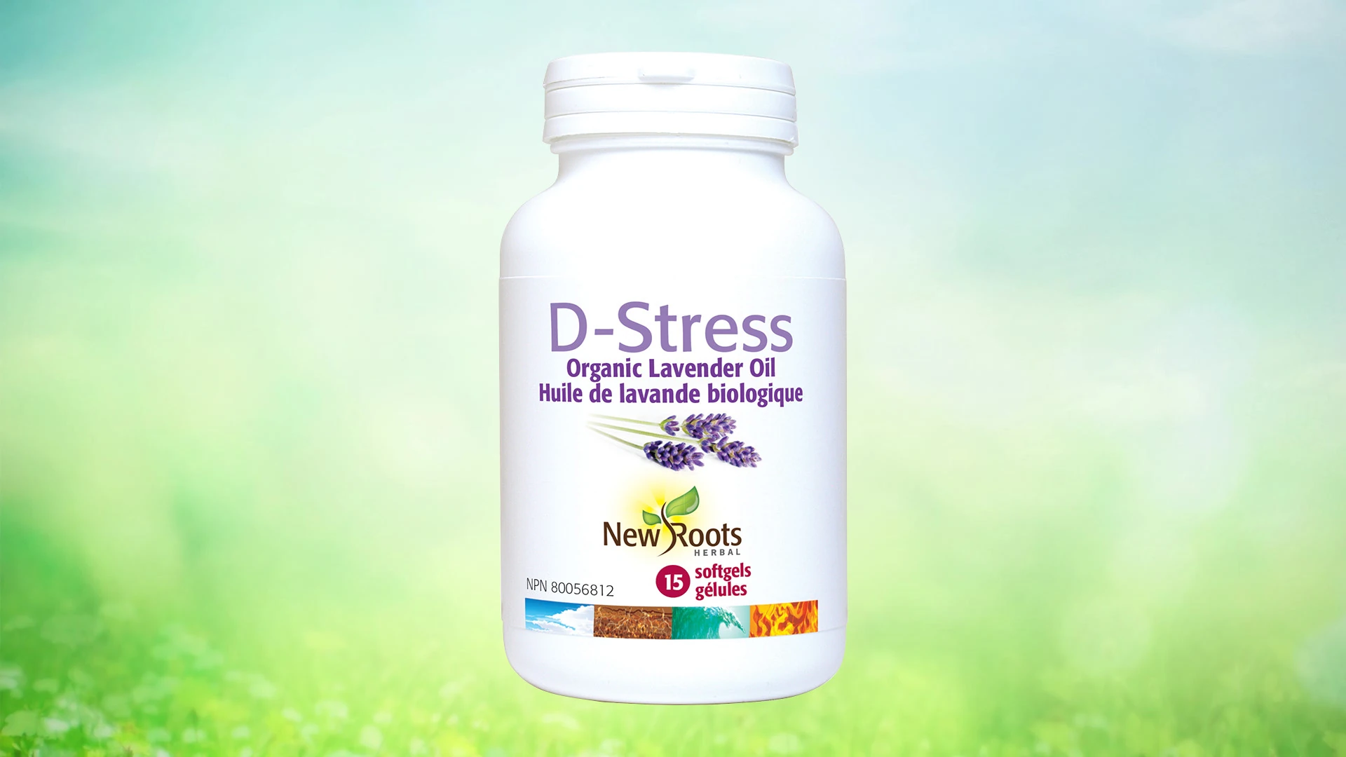 D-Stress
