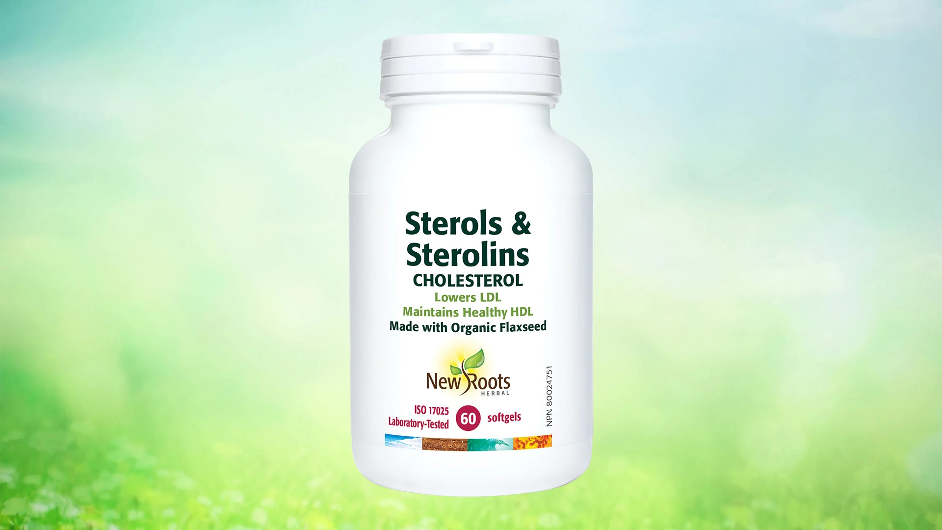 Sterols & Sterolins Cholesterol